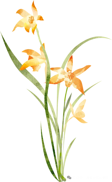 /deeadc006a45158bce8b8c1df6a44192.png 333.png